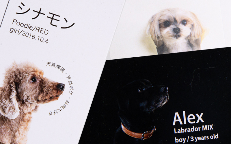 ペット名刺